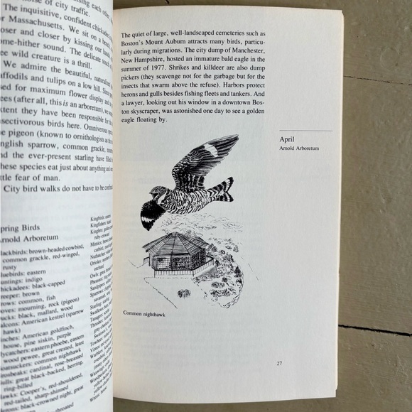 A Year with New England’s Birds A Guide to 25 Field Trips Bird New England - Picture 7 of 13